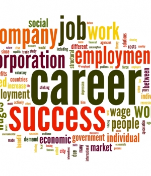 career-anchors-_a-suggestion-for-it-career-development-