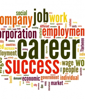 career-anchors-_a-suggestion-for-it-career-development- career-anchors-_a-suggestion-for-it-career-development-